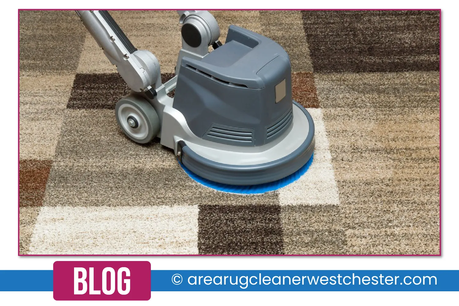 carpet cleaning in the westchester, carpet cleaning in the westchester, carpet cleaning the westchester, carpet cleaners in the westchester, carpet cleaners in the westchester, commercial carpet cleaning, commercial carpet cleaning in the westchester, the westchester rug cleaners, rug cleaning services in the westchester, same day carpet cleaning, same day rug cleaning