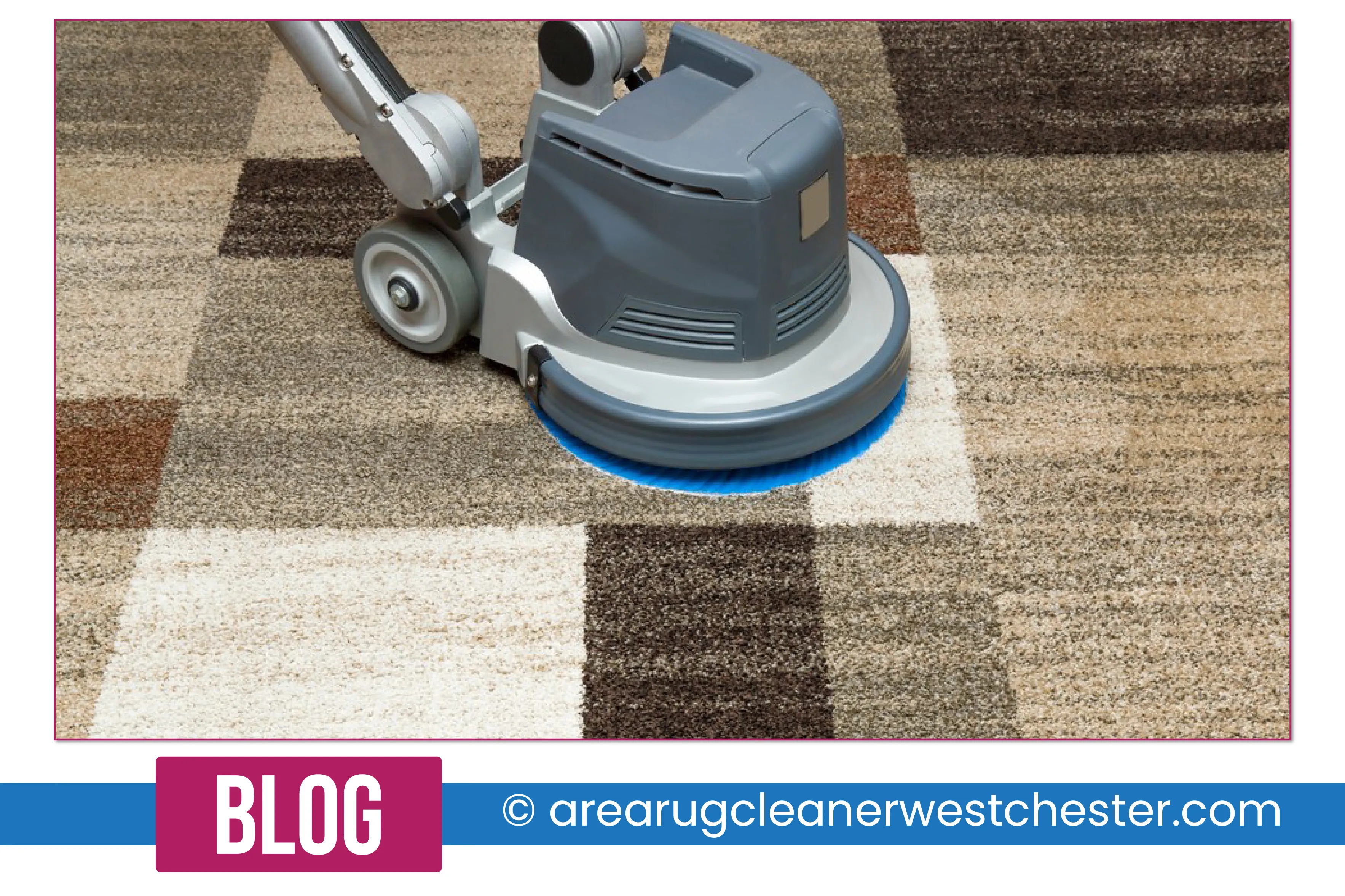 carpet cleaning in the westchester, carpet cleaning in the westchester, carpet cleaning the westchester, carpet cleaners in the westchester, carpet cleaners in the westchester, commercial carpet cleaning, commercial carpet cleaning in the westchester, the westchester rug cleaners, rug cleaning services in the westchester, same day carpet cleaning, same day rug cleaning