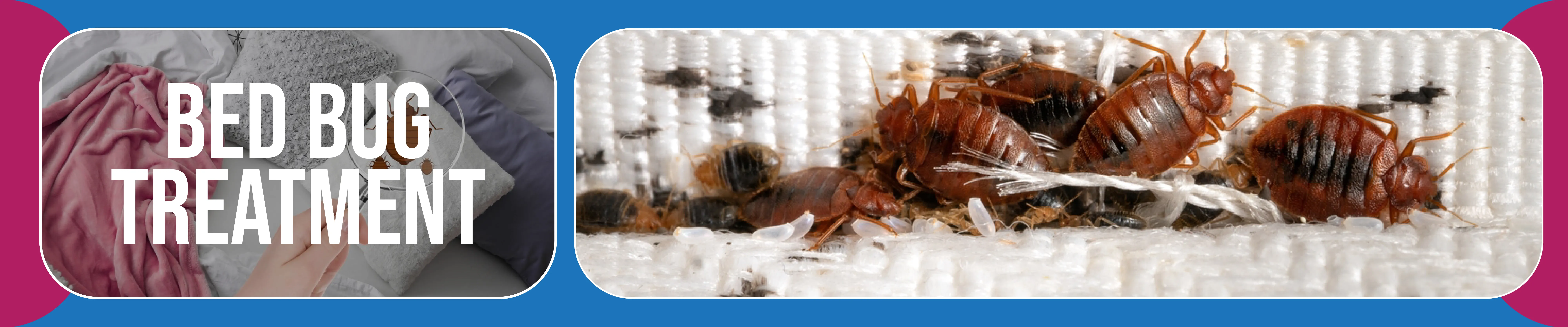 carpet cleaning in the westchester, carpet cleaning in the westchester, carpet cleaning the westchester, carpet cleaners in the westchester, carpet cleaners in the westchester, commercial carpet cleaning, commercial carpet cleaning in the westchester, the westchester rug cleaners, rug cleaning services in the westchester, same day carpet cleaning, same day rug cleaning