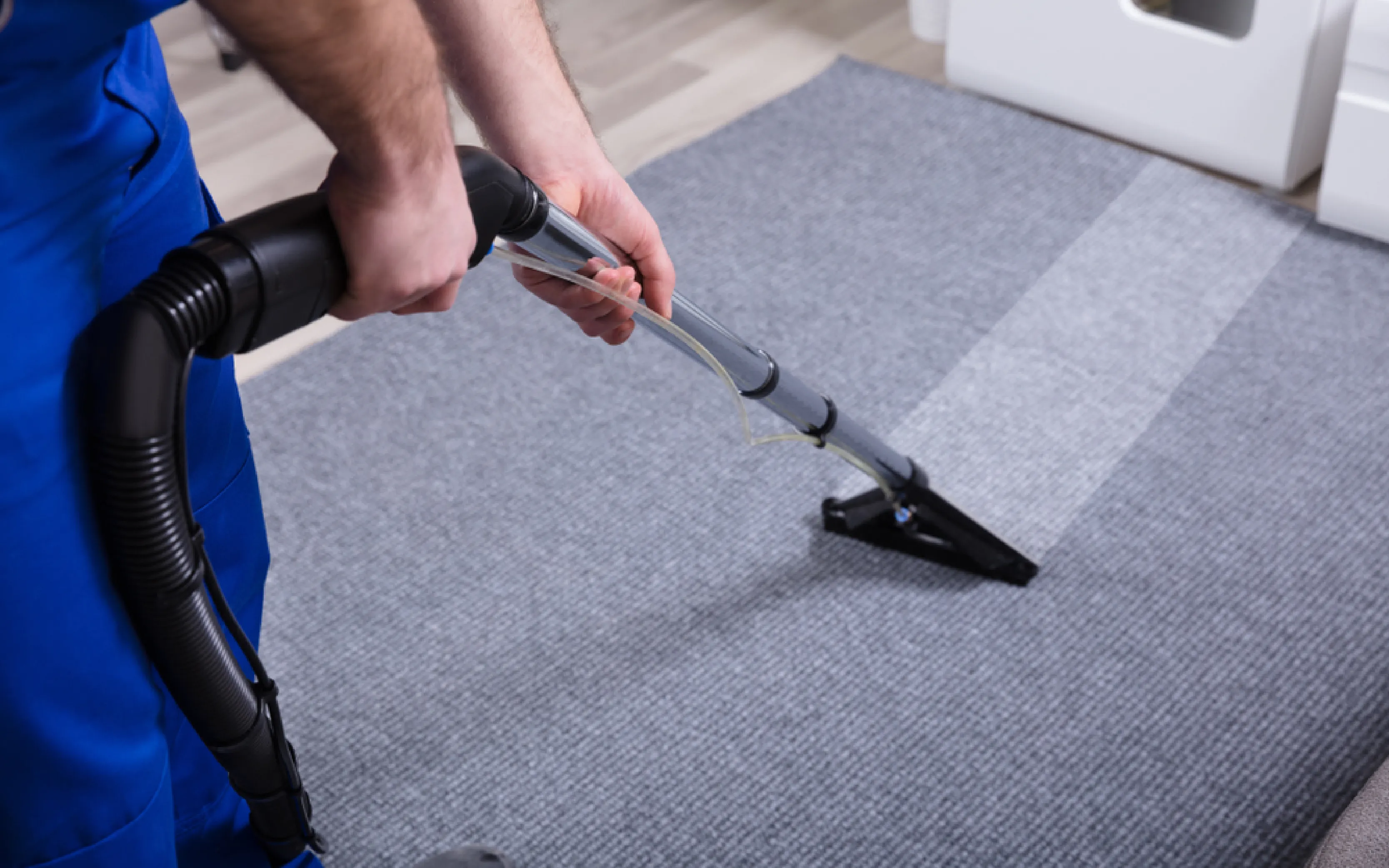 carpet cleaning in the westchester, carpet cleaning in the westchester, carpet cleaning the westchester, carpet cleaners in the westchester, carpet cleaners in the westchester, commercial carpet cleaning, commercial carpet cleaning in the westchester, the westchester rug cleaners, rug cleaning services in the westchester, same day carpet cleaning, same day rug cleaning