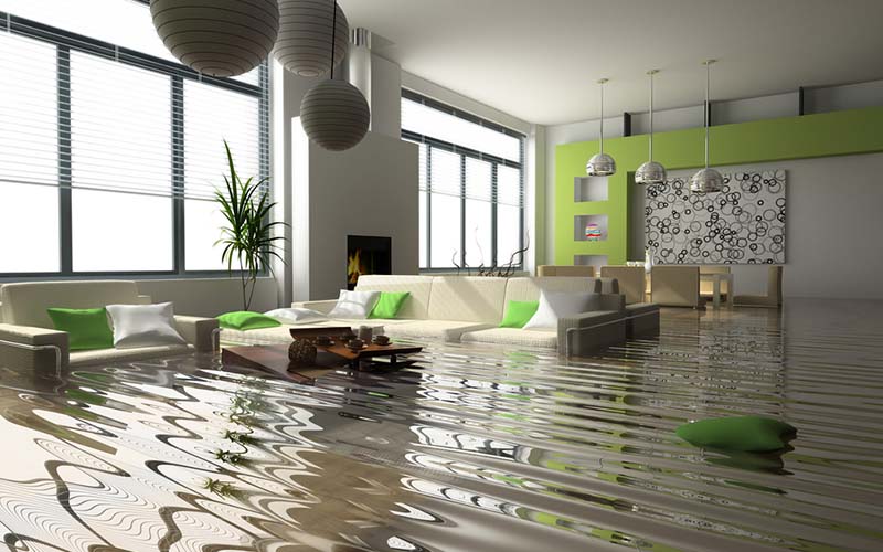 carpet cleaning in the westchester, carpet cleaning in the westchester, carpet cleaning the westchester, carpet cleaners in the westchester, carpet cleaners in the westchester, commercial carpet cleaning, commercial carpet cleaning in the westchester, the westchester rug cleaners, rug cleaning services in the westchester, same day carpet cleaning, same day rug cleaning