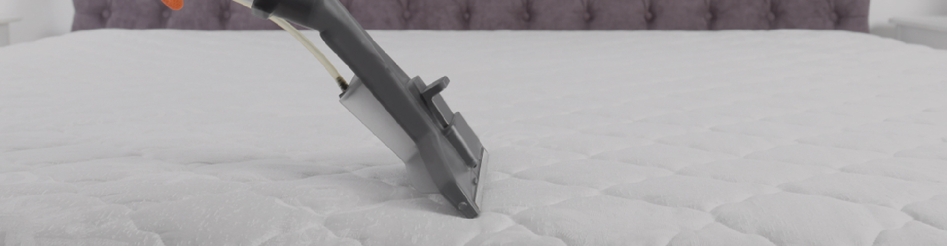 Area Rug Cleaner Westchester 20 off on all cleaning services