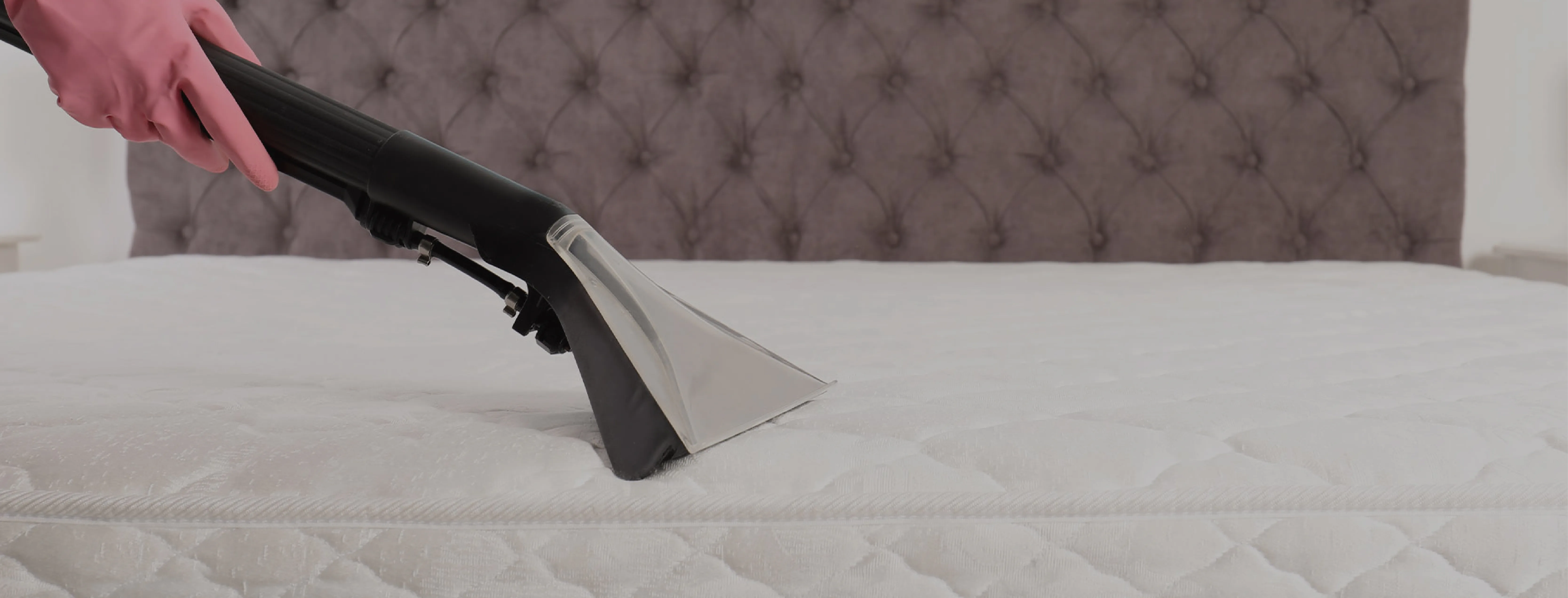 carpet cleaning in the westchester, carpet cleaning in the westchester, carpet cleaning the westchester, carpet cleaners in the westchester, carpet cleaners in the westchester, commercial carpet cleaning, commercial carpet cleaning in the westchester, the westchester rug cleaners, rug cleaning services in the westchester, same day carpet cleaning, same day rug cleaning